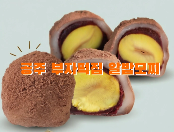 떡순이 필수 맛집 공주 부자떡집 알밤모찌 가격 & 후기! (산성시장 택배) 떡순이 필수 맛집 공주 부자떡집 알밤모찌 가격 & 후기! (산성시장 택배 )