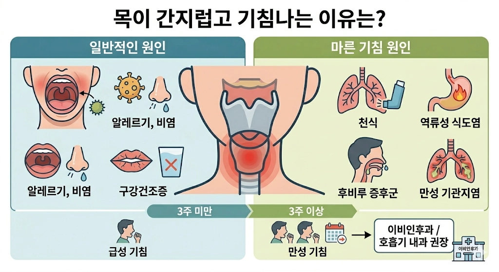 간질간질 목이 간지럽고 기침 계속 오래가요 증상? (역류성 인후두염 병원 이비인후과 치료 후기) 목이 간질간질 기침하는 이유