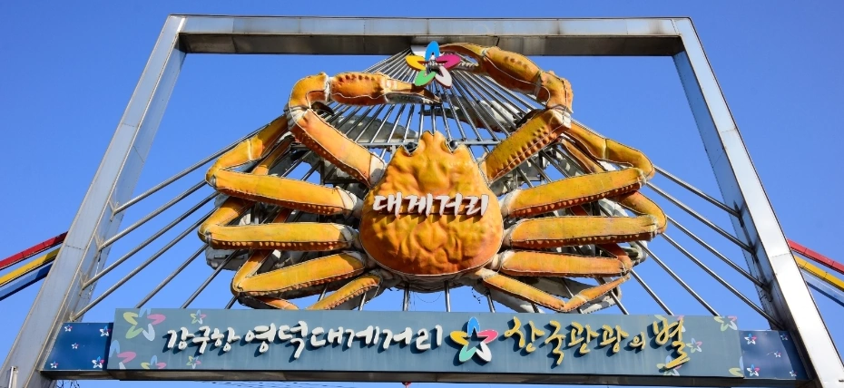 <div class="daum-wm-title"></div>영덕 강구항 대게 싸게 파는곳 & 대게 축제 싸게 먹는법 (제철 홍게 가격 택배) 영덕 강구항 대게 거리