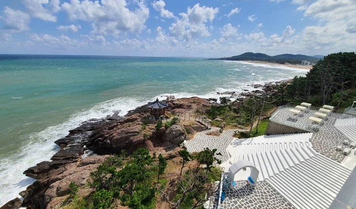 <div class="daum-wm-title"></div>영덕 강구항 대게 싸게 파는곳 & 대게 축제 싸게 먹는법 (제철 홍게 가격 택배) 포항 영덕 오션뷰 카페 러블랑