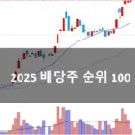 코스피 배당주 순위 100 (2025 배당금 높은 주식 추천 은퇴 투자 세금)
