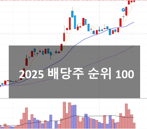 코스피 배당주 순위 100 (2025 배당금 높은 주식 추천 은퇴 투자 세금)