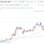 토닉스 파마슈티컬스 홀딩 주가 전망 FDA 승인 및 분석 (톤미야)