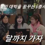 달까지 가자 촬영지 장소 구미 금계국 강정습지 & 종로 낙산공원 외 ~