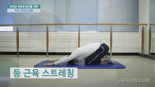 등 근육 스트레칭 