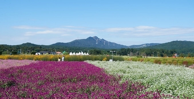 양주 나리공원 