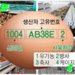 계란 난각번호 보는법 1번 2번 3번 4번 달걀 가격이 차이나는 이유를 알아보자