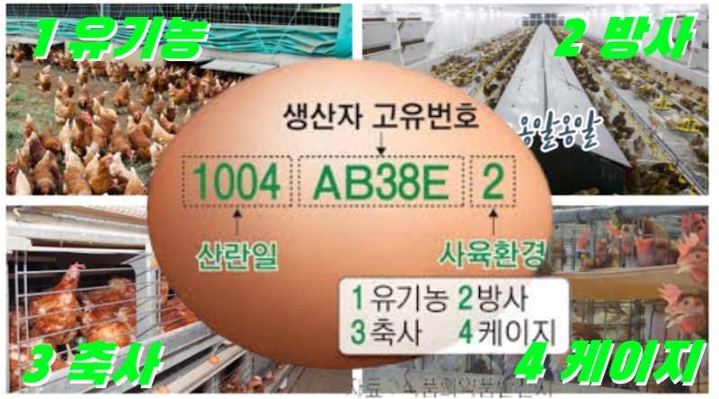 계란 난각번호 보는법 1번 2번 3번 4번 달걀 가격이 차이나는 이유를 알아보자