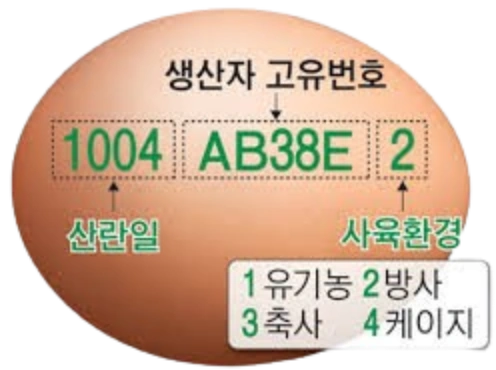 난각번호 보는법 