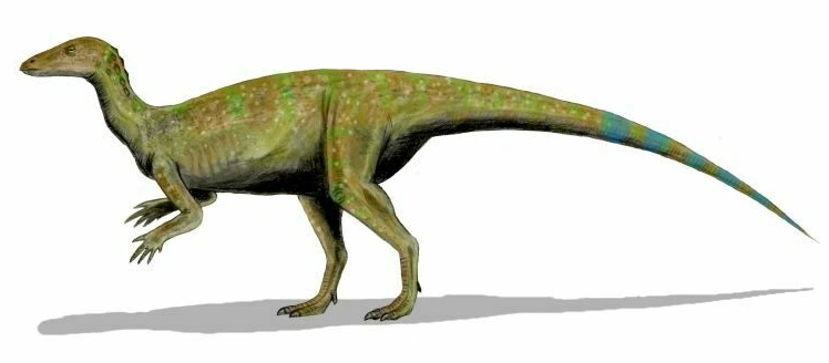 아기 공룡 둘리 닮은 둘리사우루스 한번도 3번째 신종 발견 테스켈로사우루스