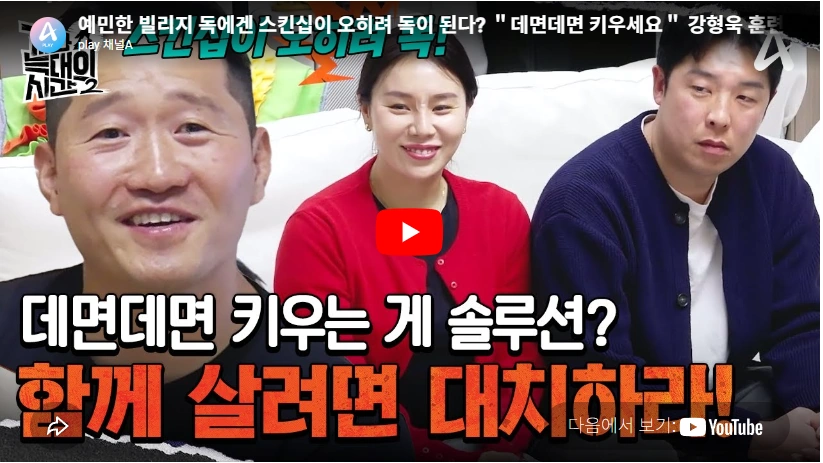 데면데면한 강아지 빌리지독 뜻 품종 특징 & 역사 (빌리지도그) 빌리지 독의 특징